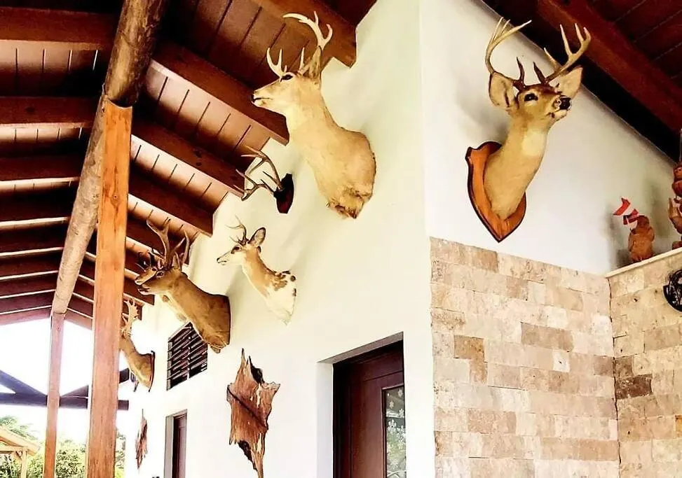 Villa Deer Cabin- Cabana Del Venado Vila San Sebastian