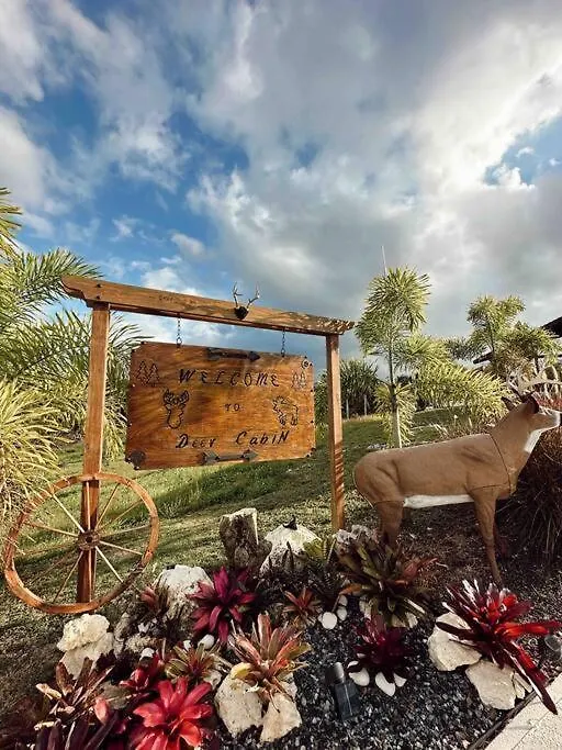 Villa Deer Cabin- Cabana Del Venado Vila San Sebastian